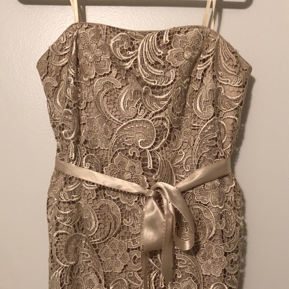 Adriana Papell lace dress (bridesmaid)